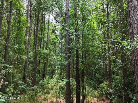 Tiny photo for 0 Ruby'S Lane, Maysville, NC 28555 (MLS # 100577753)