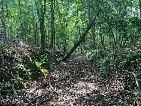 Tiny photo for 0 Ruby'S Lane, Maysville, NC 28555 (MLS # 100577753)