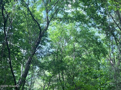 Tiny photo for 0 Ruby'S Lane, Maysville, NC 28555 (MLS # 100577753)