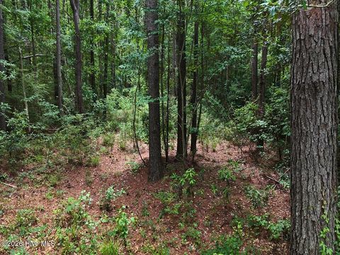 Tiny photo for 0 Ruby'S Lane, Maysville, NC 28555 (MLS # 100577753)