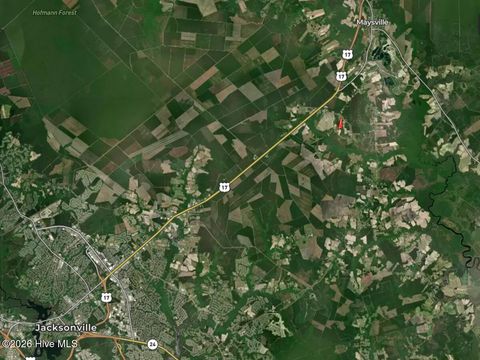 Tiny photo for 0 Ruby'S Lane, Maysville, NC 28555 (MLS # 100577753)