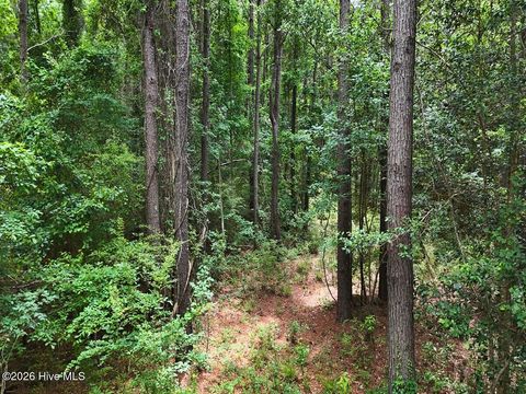 Tiny photo for 0 Ruby'S Lane, Maysville, NC 28555 (MLS # 100577753)