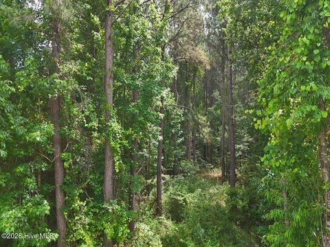 Tiny photo for 0 Ruby'S Lane, Maysville, NC 28555 (MLS # 100577753)