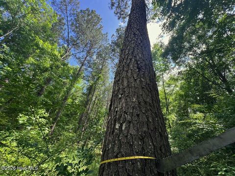 Tiny photo for 0 Ruby'S Lane, Maysville, NC 28555 (MLS # 100577753)