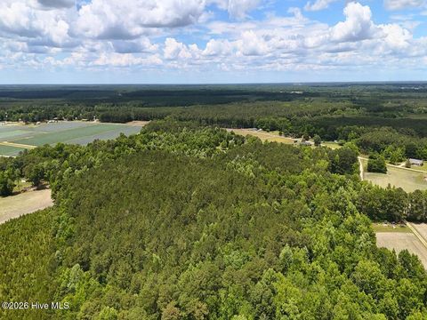 Tiny photo for 0 Ruby'S Lane, Maysville, NC 28555 (MLS # 100577753)