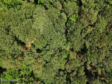 Tiny photo for 0 Ruby'S Lane, Maysville, NC 28555 (MLS # 100577753)
