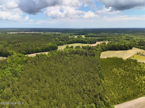 Tiny photo for 0 Ruby'S Lane, Maysville, NC 28555 (MLS # 100577753)