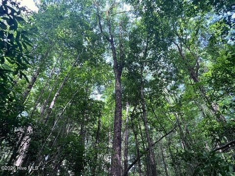 Tiny photo for 0 Ruby'S Lane, Maysville, NC 28555 (MLS # 100577753)