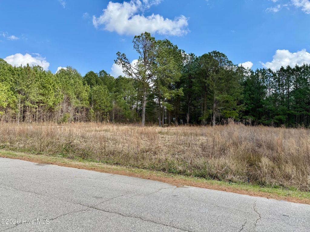 Photo of 100 Cliffwell Drive, Goldsboro, NC 27530 (MLS # 100560214)