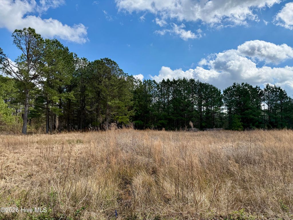 Photo of 100 Cliffwell Drive, Goldsboro, NC 27530 (MLS # 100560214)