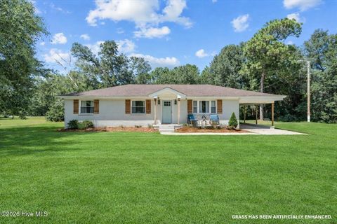 Photo of 337 Oak Ridge Church Road, Hamlet, NC 28345 (MLS # 100553567)