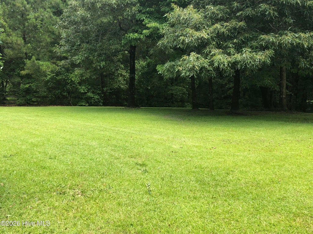 Photo of 415 Celtic Ash Street, Sneads Ferry, NC 28460 (MLS # 100610184)