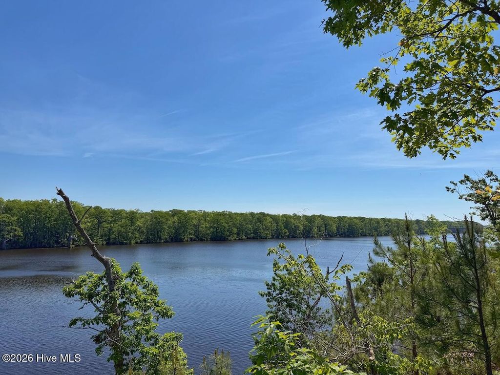 Photo of 206 Riversedge Drive, Winton, NC 27986 (MLS # 100572139)