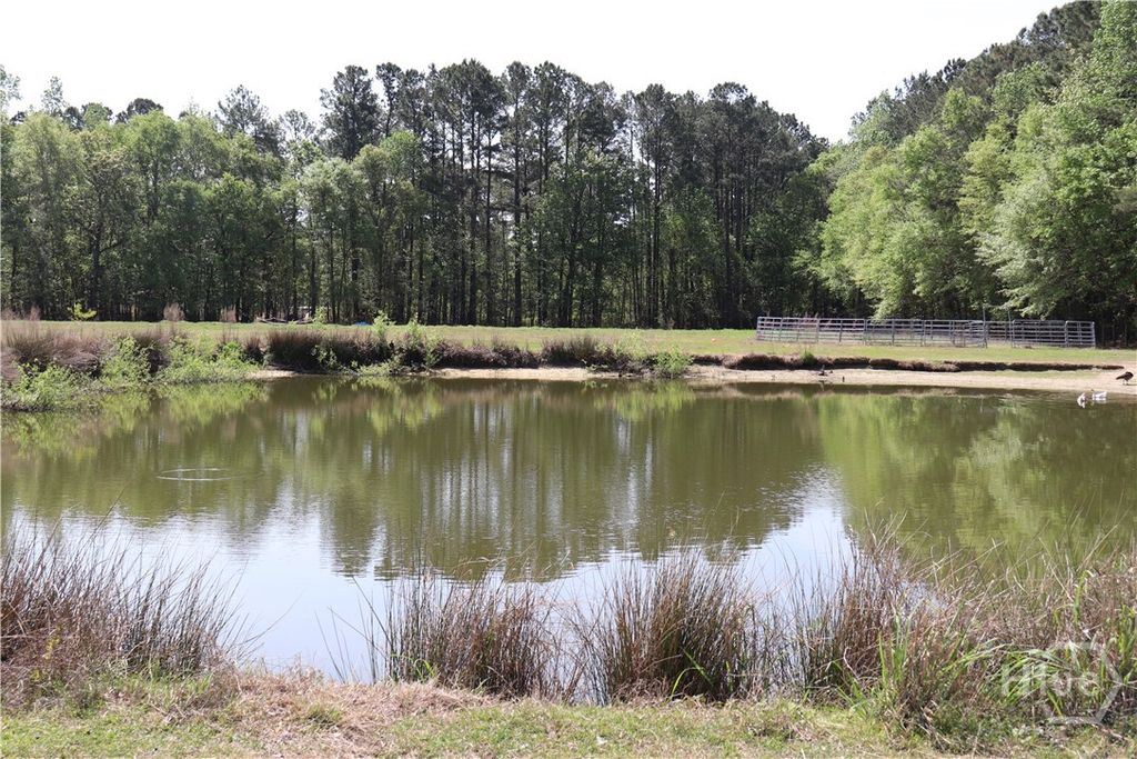 Photo of 1650 Ebenezer Road, Rincon, GA 31326 (MLS # SA352976)