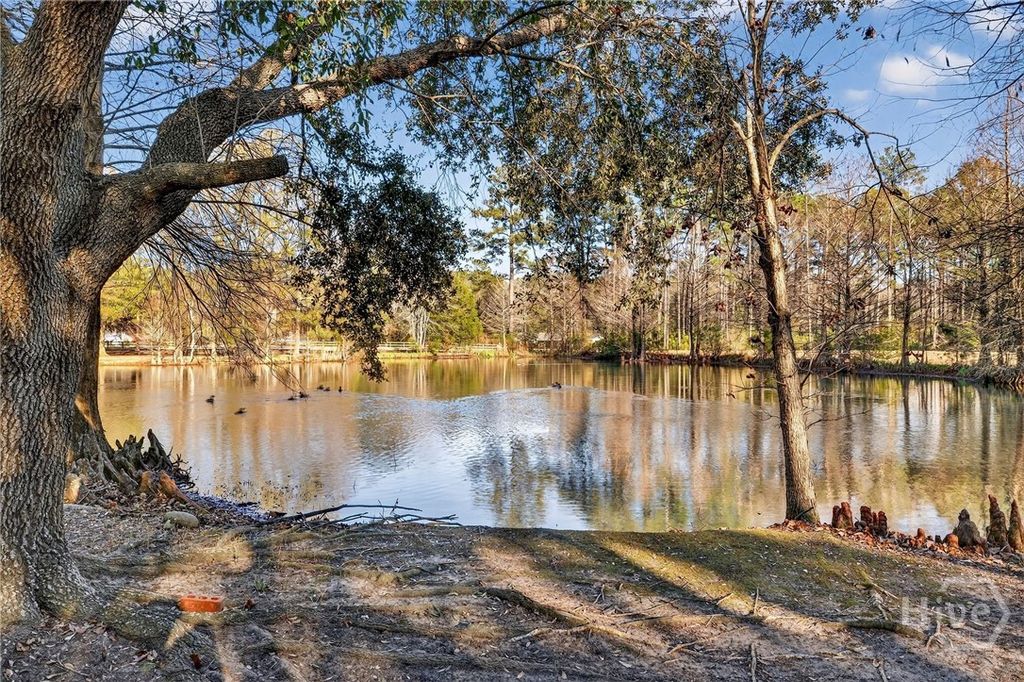 Photo of 1063 Old Olive Branch Road, Ellabell, GA 31308 (MLS # SA347980)