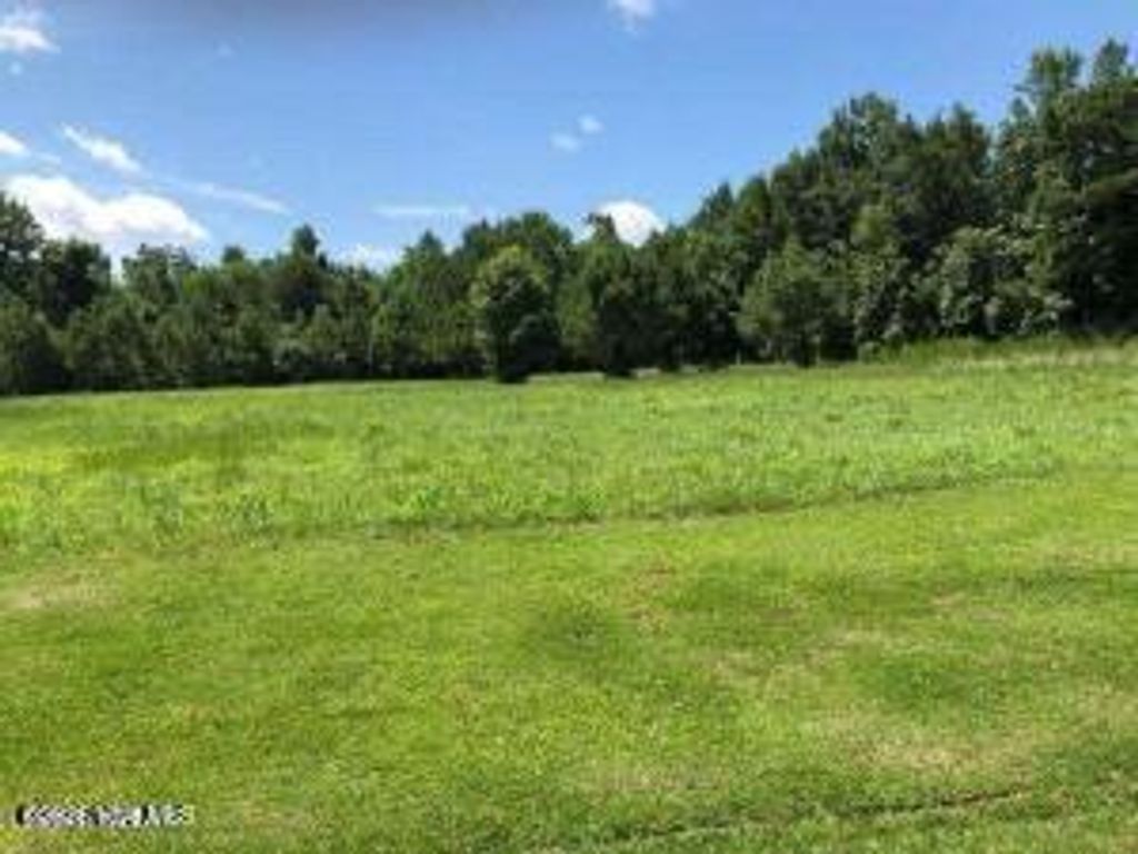 Photo of 0 Eagle View Lane, Blounts Creek, NC 27814 (MLS # 100547619)