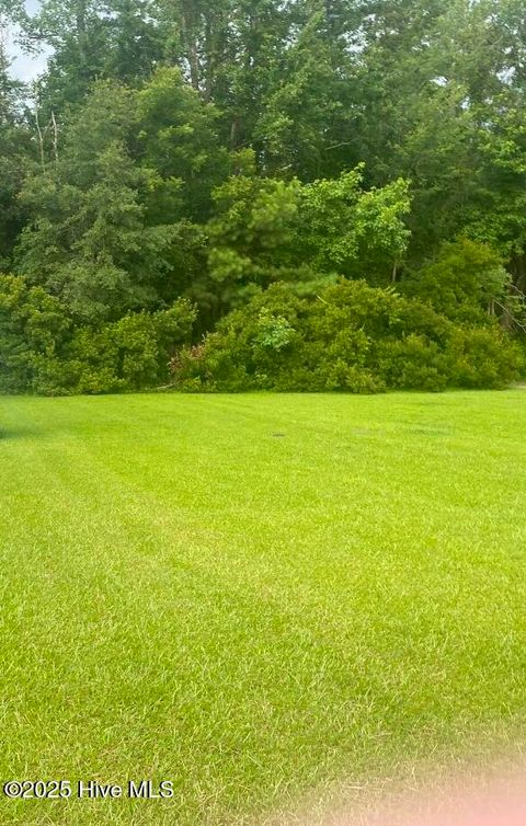 Vacant Land For Sale - NEAR 702 Conway Road<br/> Fair Bluff, NC 28439