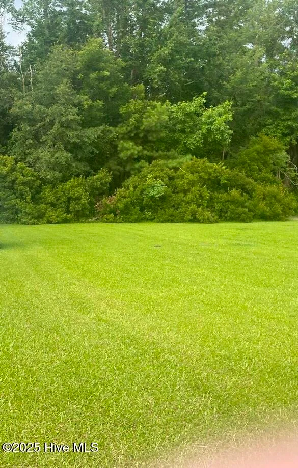 Near 702 Conway Road, Fair Bluff, NC, 28439