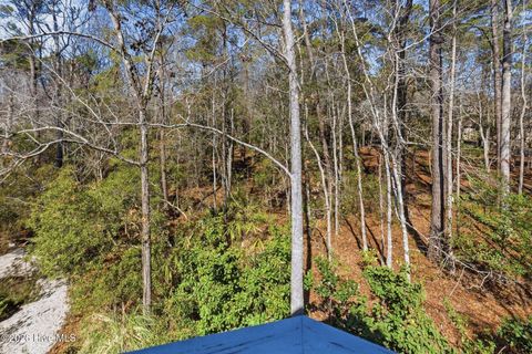 Tiny photo for 1423 Whisperwood Court SE, Bolivia, NC 28422 (MLS # 100555834)