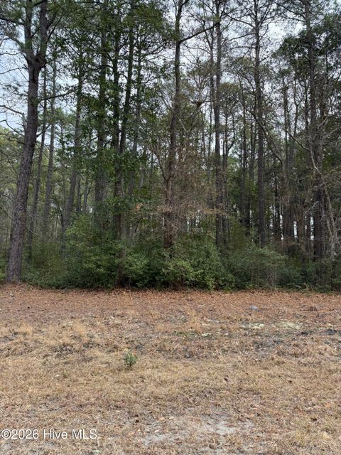 Photo of 1571 Driftwood Drive SW, Ocean Isle Beach, NC 28469 (MLS # 100555412)