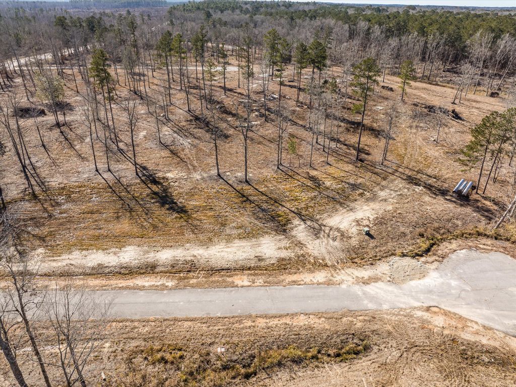 Photo of 155 Alcovy Road, Thomson, GA 30824 (MLS # 555626)