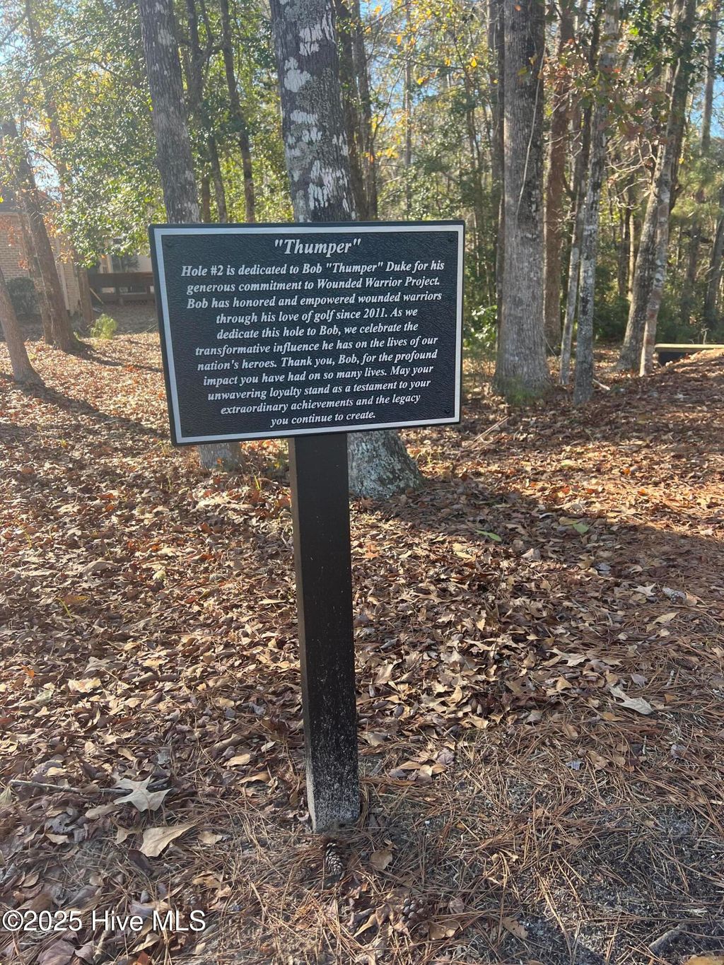 Photo of 92 Plantation Passage Drive SE, Bolivia, NC 28422 (MLS # 100528317)