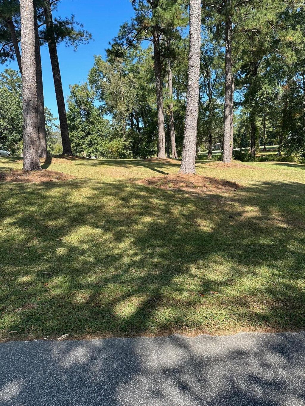 Photo of 000 NW SOUTH LAKE Drive, Thomson, GA 30824 (MLS # 538223)