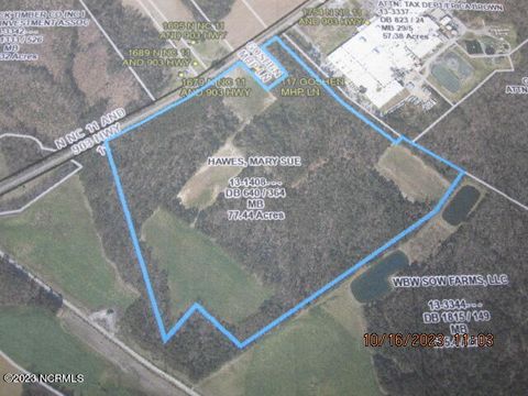 Vacant Land For Sale - 00 Nc 11 - 903<br/> Kenansville, NC 28349