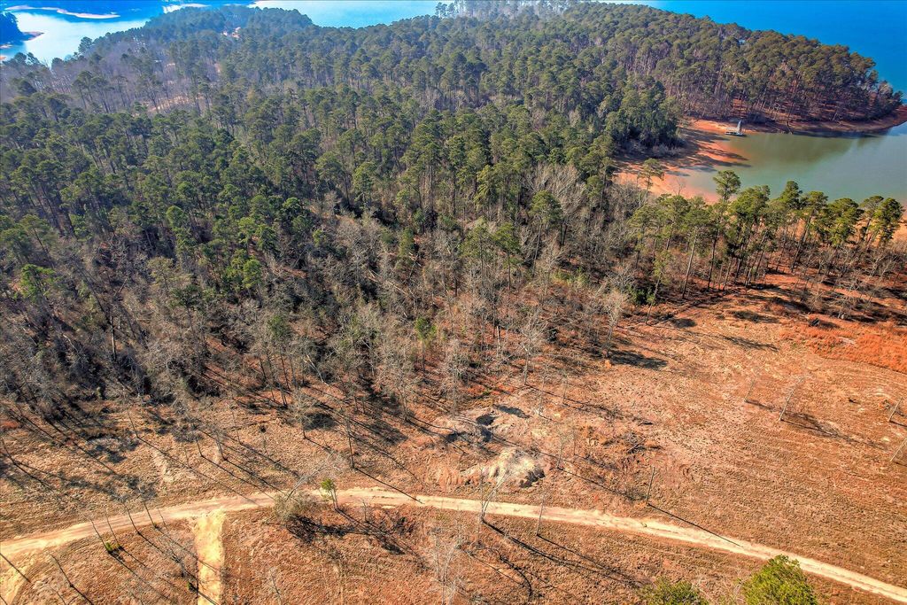 Photo of 440 Abundance Way, Appling, GA 30802 (MLS # 551135)