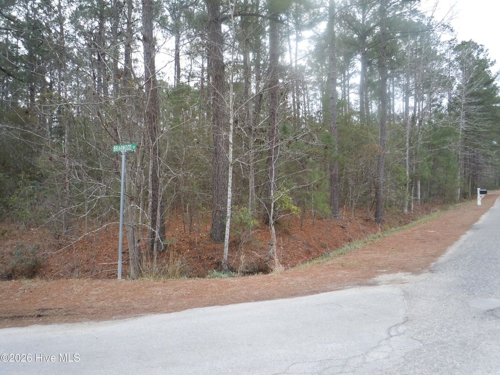 Photo of 556 Briarwood Drive NW, Calabash, NC 28467 (MLS # 100553556)