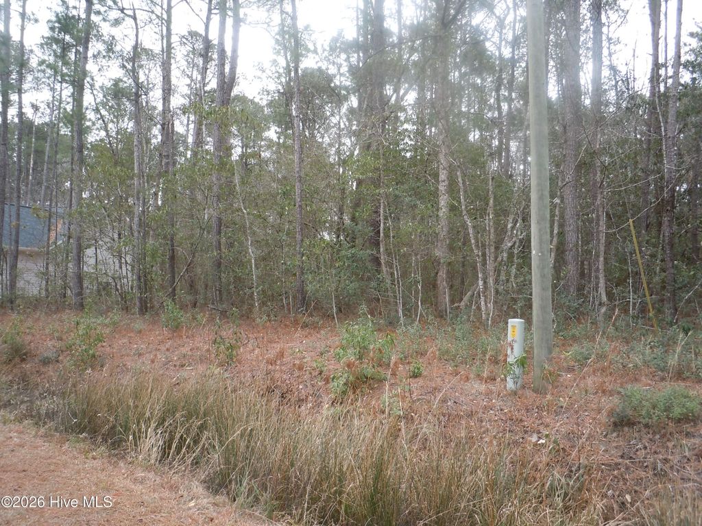 Photo of 556 Briarwood Drive NW, Calabash, NC 28467 (MLS # 100553556)