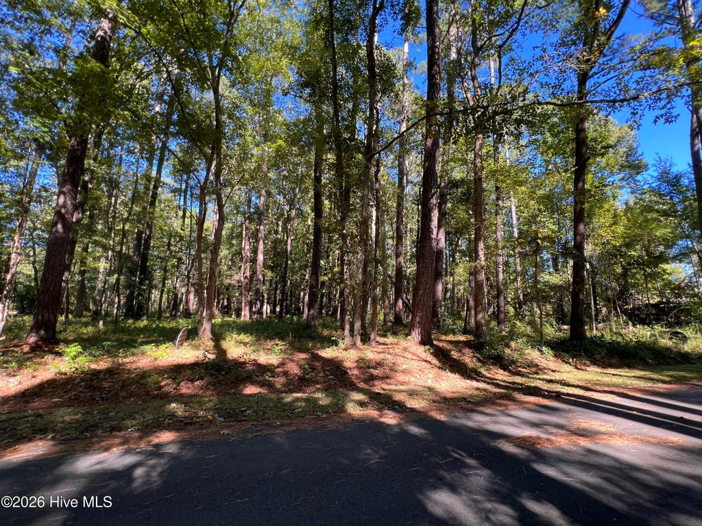 Photo of 2002 Yawl Place, Oriental, NC 28571 (MLS # 100612390)