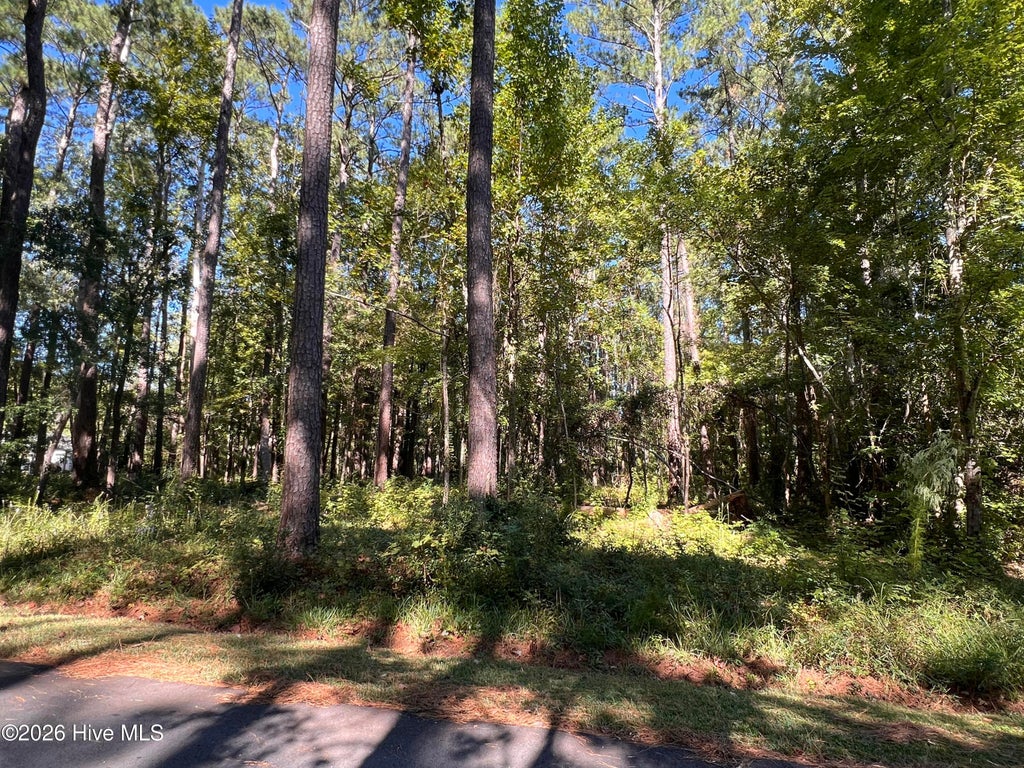 Photo of 2002 Yawl Place, Oriental, NC 28571 (MLS # 100612390)