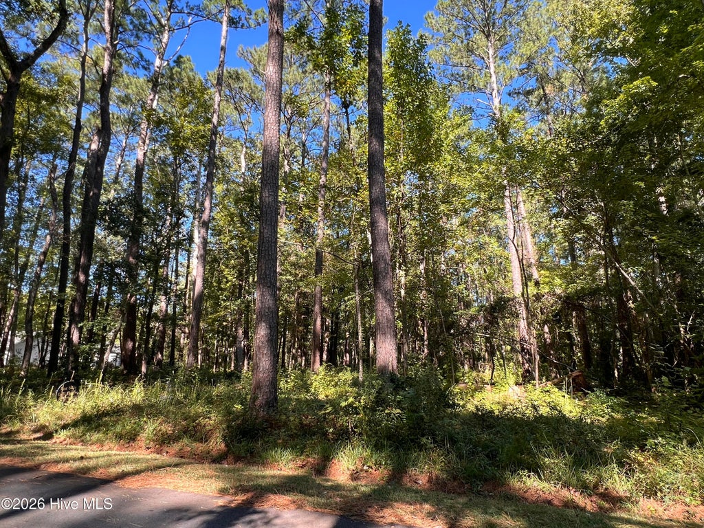 Photo of 2002 Yawl Place, Oriental, NC 28571 (MLS # 100612390)