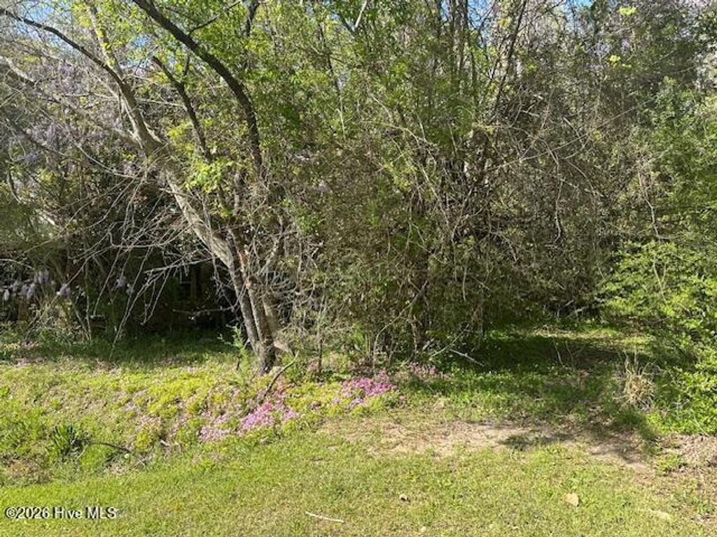 Photo of 408 Mill Quarters Road, Hallsboro, NC 28442 (MLS # 100563761)