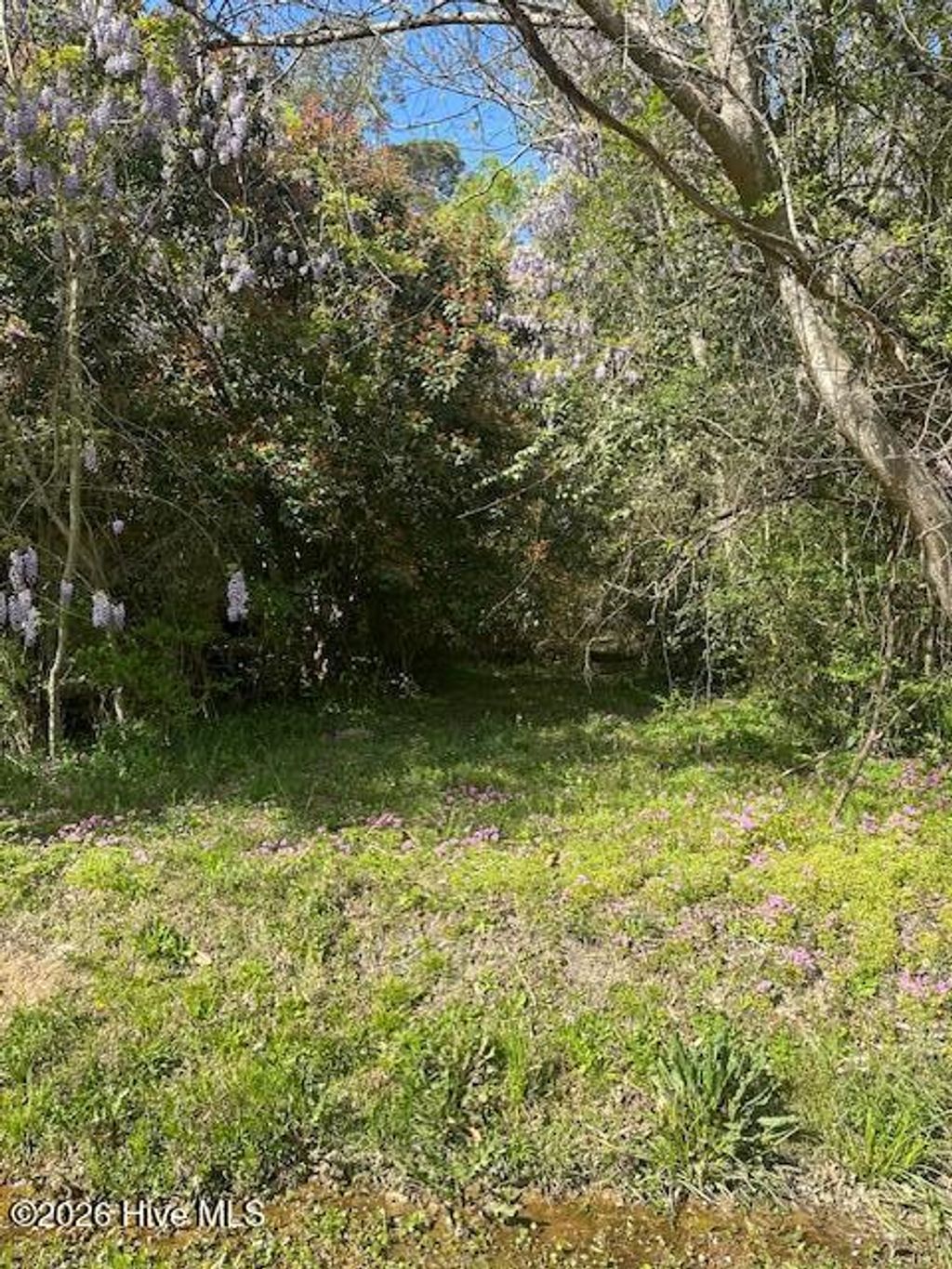 Photo of 408 Mill Quarters Road, Hallsboro, NC 28442 (MLS # 100563761)