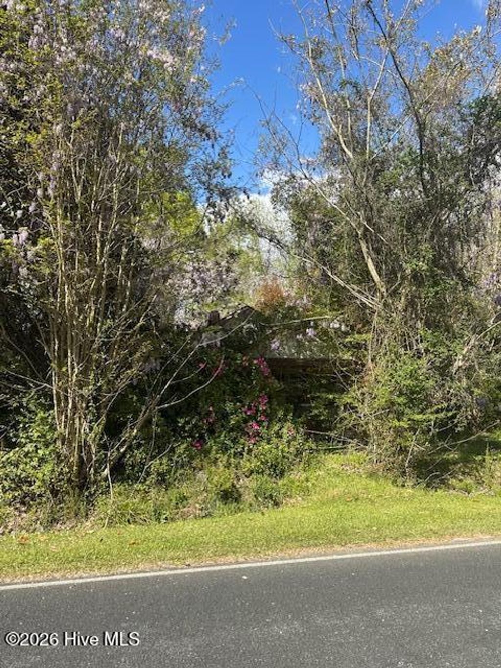 Photo of 408 Mill Quarters Road, Hallsboro, NC 28442 (MLS # 100563761)