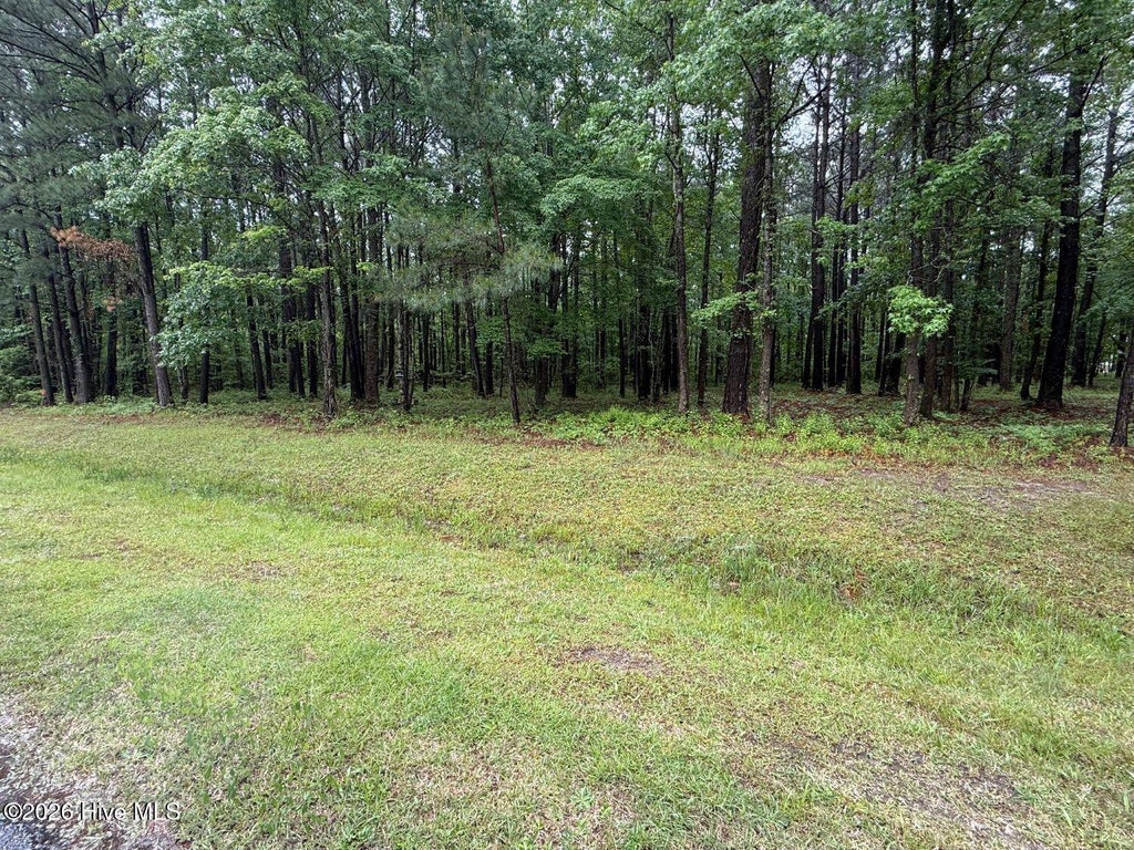 Photo of 0 Stillwater Drive, Belhaven, NC 27810 (MLS # 100600248)