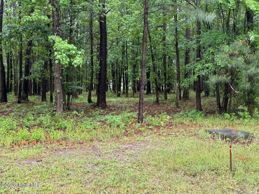 Photo of 0 Stillwater Drive, Belhaven, NC 27810 (MLS # 100600248)