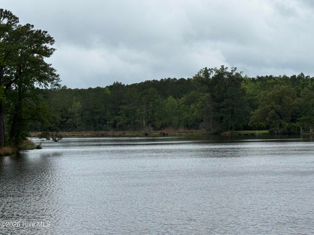 Photo of 0 Stillwater Drive, Belhaven, NC 27810 (MLS # 100600248)