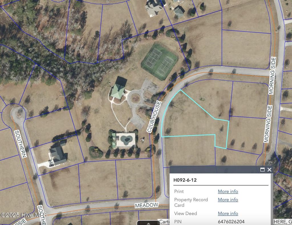 Photo of 76 Club House Drive, Arapahoe, NC 28510 (MLS # 100540742)