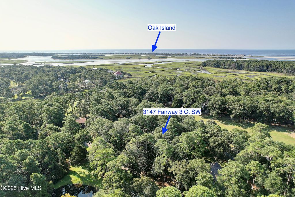 Photo of 3147 Fairway 3 Court SW, Supply, NC 28462 (MLS # 100525851)