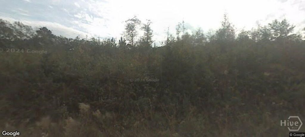 Photo of 343 Pleasant Acres Road, Springfield, GA 31329 (MLS # SA350941)