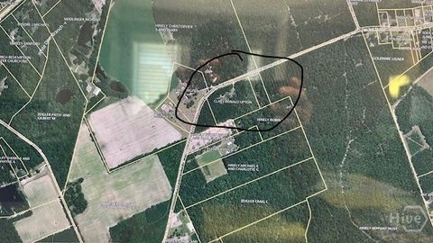 Vacant Land For Sale - 343 Pleasant Acres Road<br/> Springfield, GA 31329