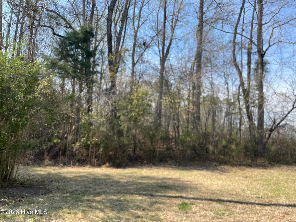 Photo of 2871 Little Gem Circle, Winterville, NC 28590 (MLS # 100562027)
