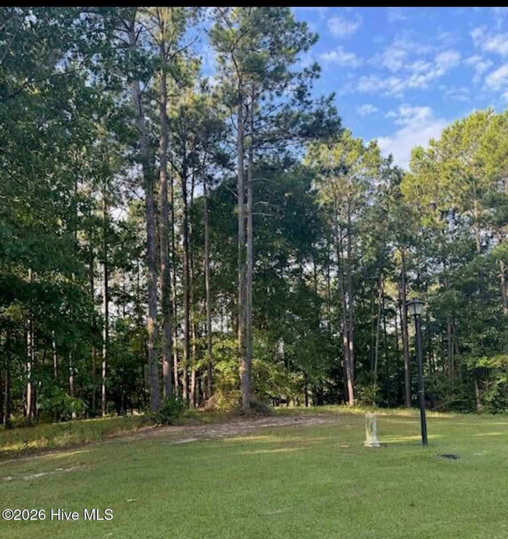 Photo of 1049 Mill Creek Drive, Minnesott Beach, NC 28510 (MLS # 100553527)