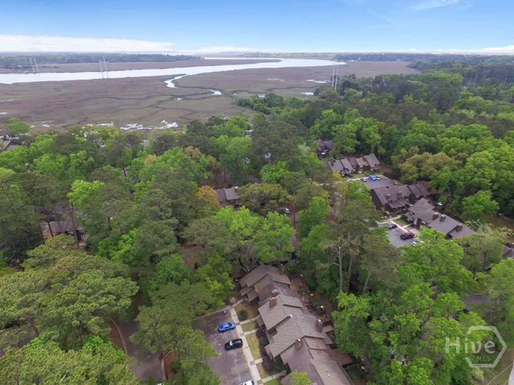 Photo of 66 Brown Pelican Drive, Savannah, GA 31419 (MLS # SA350616)