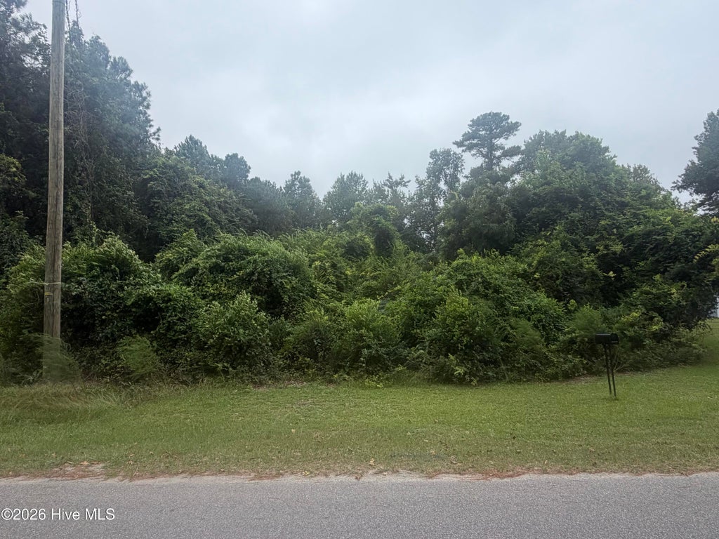 Photo of Tbd N Fayetteville Street, Salemburg, NC 28385 (MLS # 100605335)
