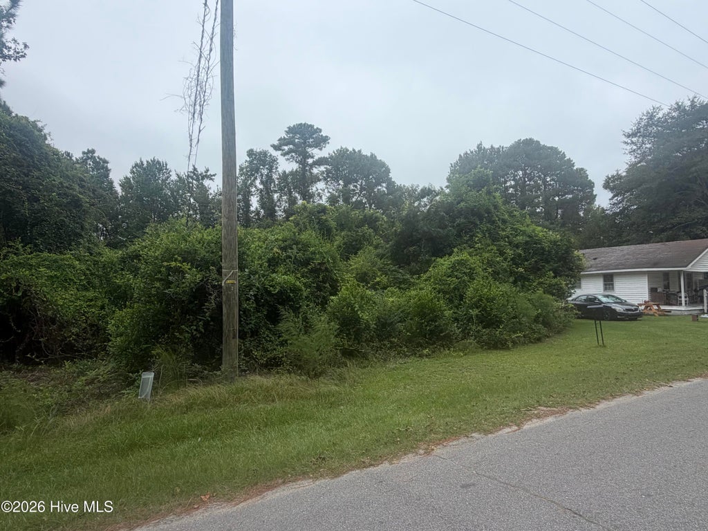 Photo of Tbd N Fayetteville Street, Salemburg, NC 28385 (MLS # 100605335)