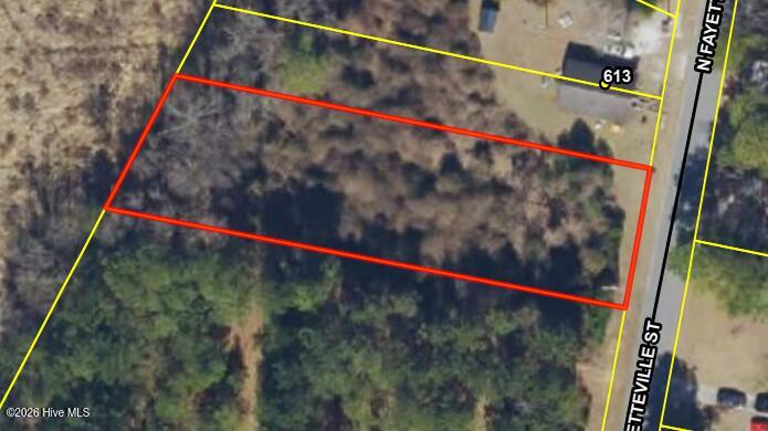 Photo of Tbd N Fayetteville Street, Salemburg, NC 28385 (MLS # 100605335)